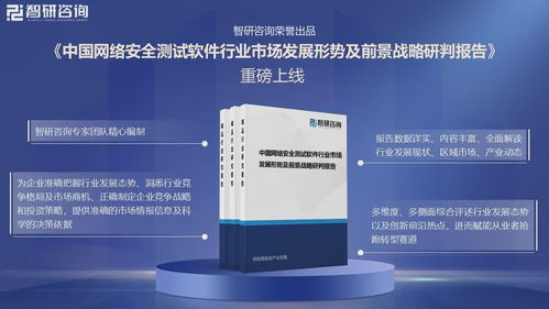 中國網絡安全測試軟件行業市場競爭格局及未來發展前景研究報告 網絡與信息安全軟件開發領域深度剖析